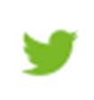 logo twitter capacis